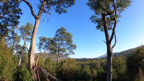 Toma-De-Lapso-De-Tiempo-Del-Amanecer-En-La-Reserva-Forestal-De-Jackeys-Creek,-Tasmania,-Australia