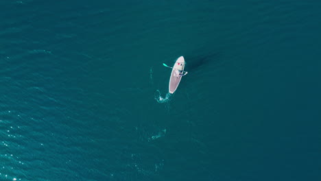 bird's eye view drone shot of a paddle boarder on a lake at kai iwi lake, new zealand