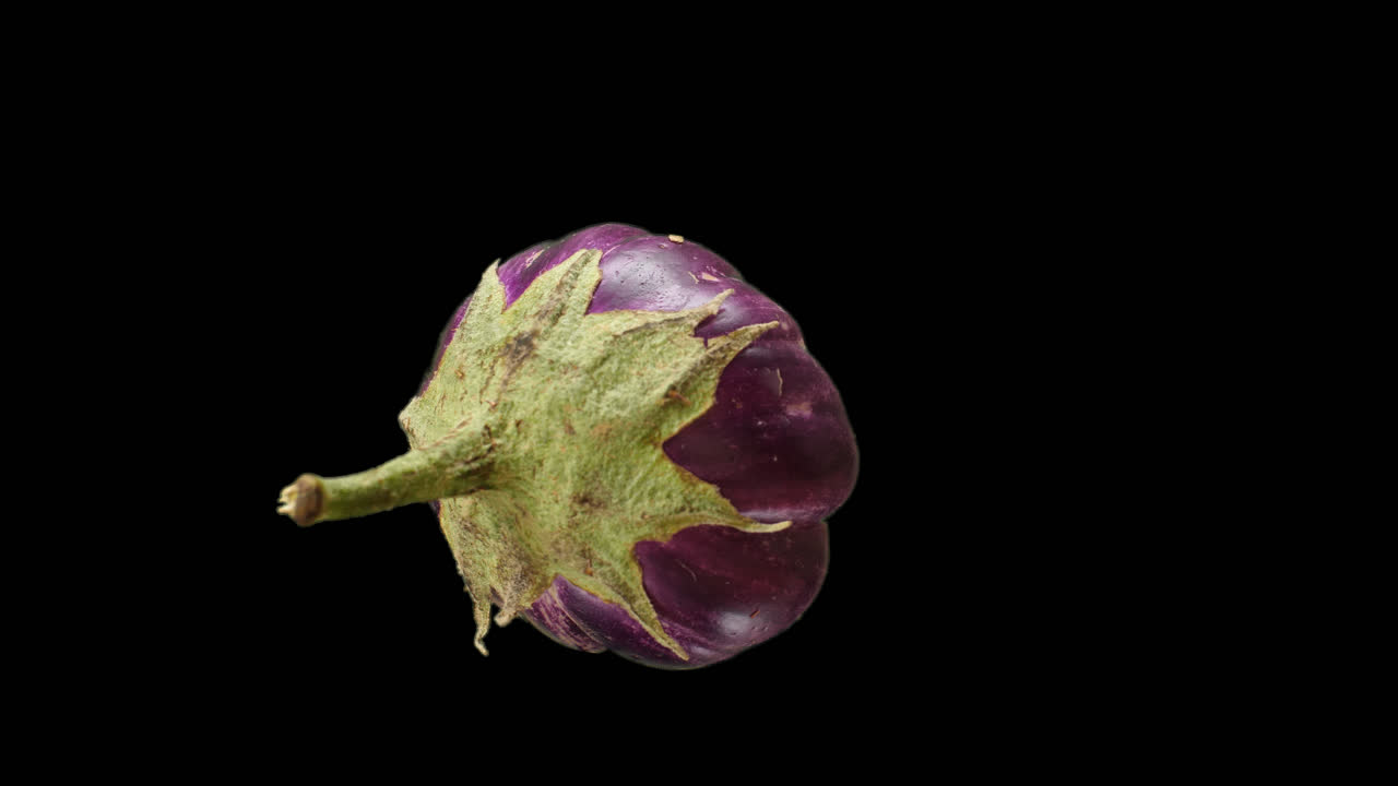 Eggplant Rotating With Alpha Channel, Video In 4K