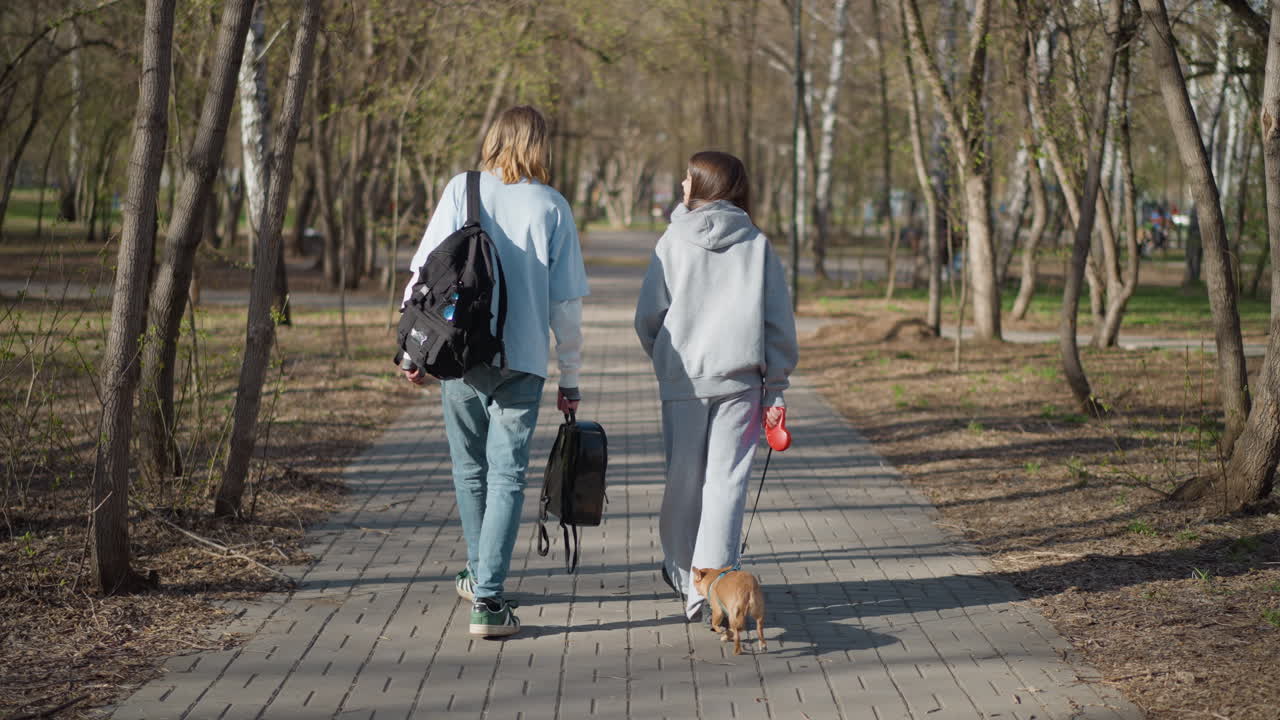 park scene featuring students and their dogs, young adults and students enjoying outdoor walk with pets, relaxed young individuals walking dogs along pathway under gentle spring sunlight