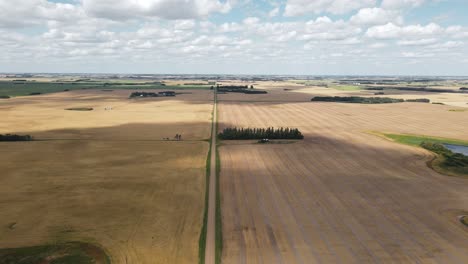 acres of golden brown wheat fields in the quiet rural countryside on a beautiful sunny day