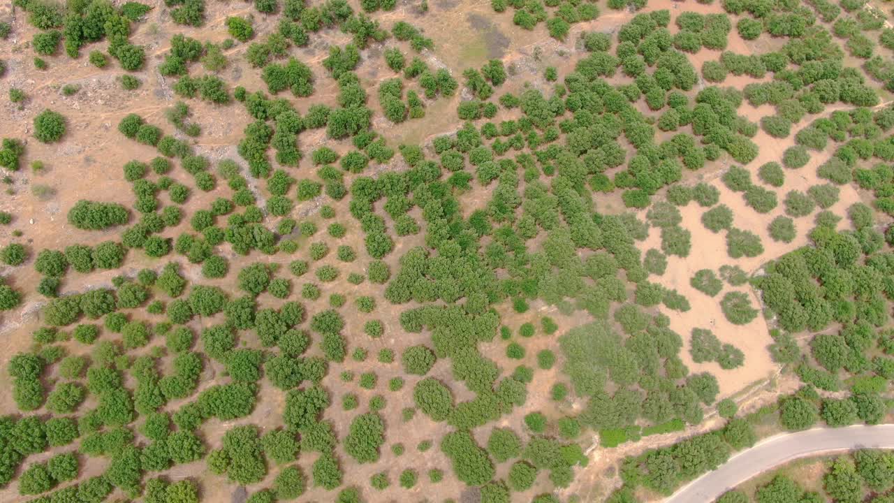 toma aérea de arbustos y caminos de montaña en la isla de spinenga, creta, grecia