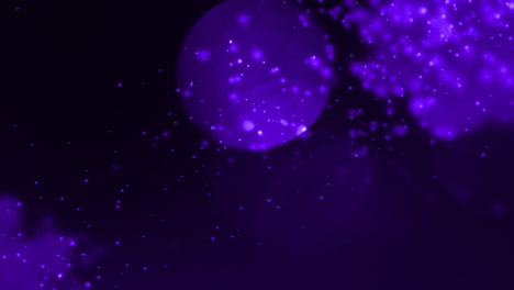 animation of purple spots of light and flashing light moving on seamless loop