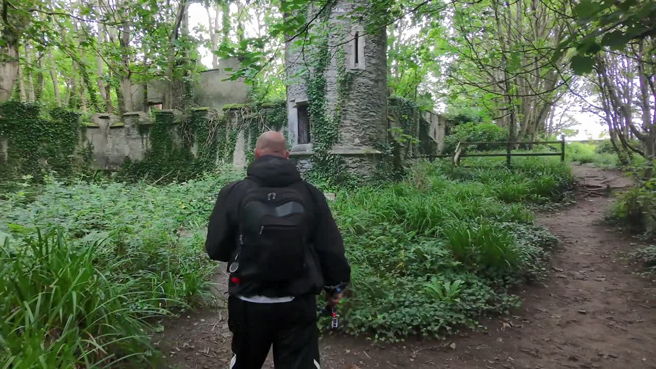 Man and his dog finding woodland castle ruins hiking in dense forest wilderness environment