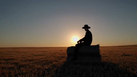 el granjero al atardecer