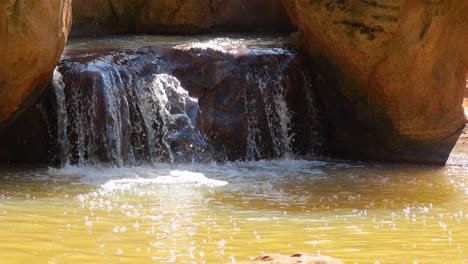 cascading water in a natural zoo setting