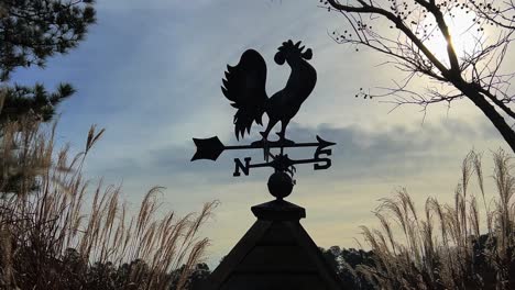 a decorative weather vane featuring a rooster perched on top of it there is a weather vane that features a rooster elegantly perched on top of it spinning gracefully in the wind