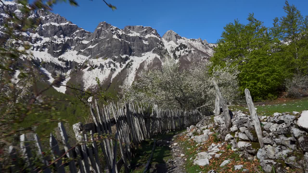 camino rodeado de árboles silvestres y valla con fondo de montañas de los alpes albaneses