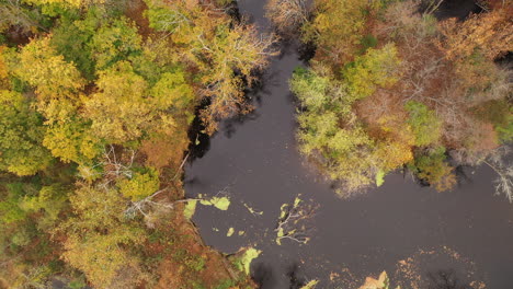 Una-Toma-De-Arriba-Hacia-Abajo-Directamente-Sobre-Un-Lago-Rodeado-De-Un-Colorido-Follaje-De-Otoño-En-El-Norte-Del-Estado-De-Nueva-York