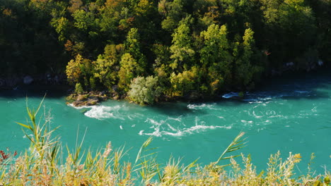 Green-Forest-on-Niagara-Río-Bank