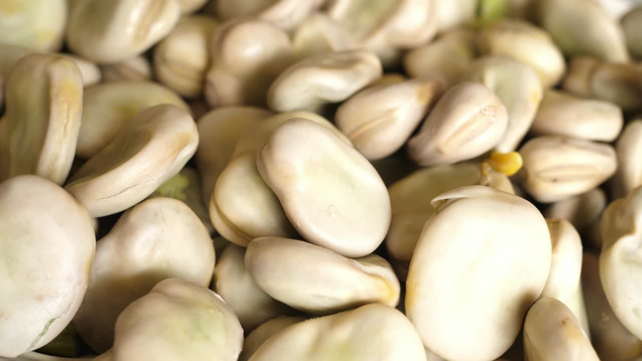 요리 된 광범위한 콩 회전 회전