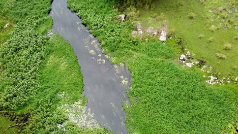 Vía-Fluvial-Cubierta-De-Plantas-En-El-Remoto-Y-Salvaje-Hábitat-De-Cocodrilos-De-Los-Humedales-De-Ira-Lalaro,-Timor-leste,-Sudeste-De-Asia,-Aumento-De-Drones-Aéreos-Para-La-Vista-De-Los-Pájaros