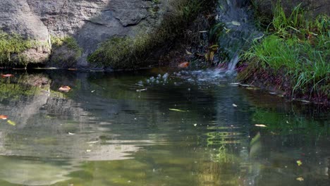 pequeña cascada fluye pacíficamente hacia el estanque en un día soleado en corea del sur