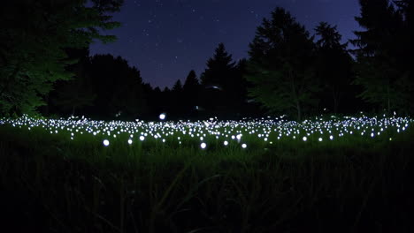 field of fireflies under a starry night sky