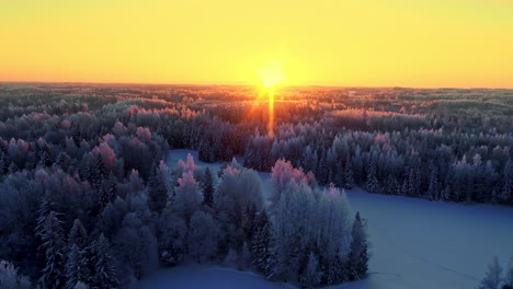 La-Luz-Del-Sol-Ilumina-Las-Copas-De-Los-árboles-En-El-Bosque-Boreal-Congelado-Al-Atardecer