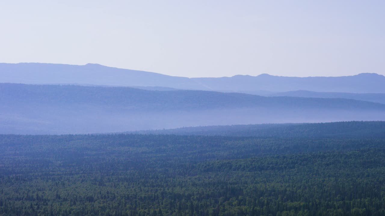 울창 한 숲 이 있는 안개 가 가득 한 산맥