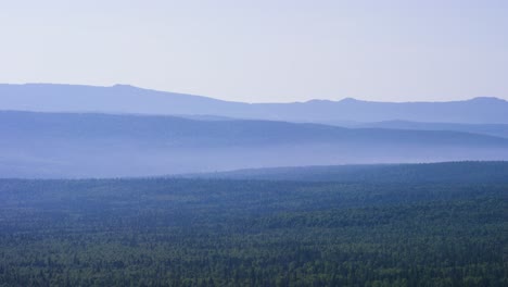 misty mountain range with dense forest