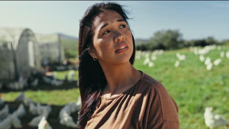 chicken, farm and woman in field thinking