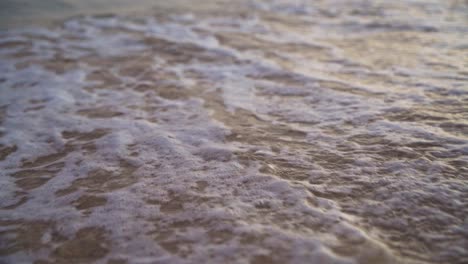 Beautiful-red-shell-on-beach-swept-away-by-wave-running-out