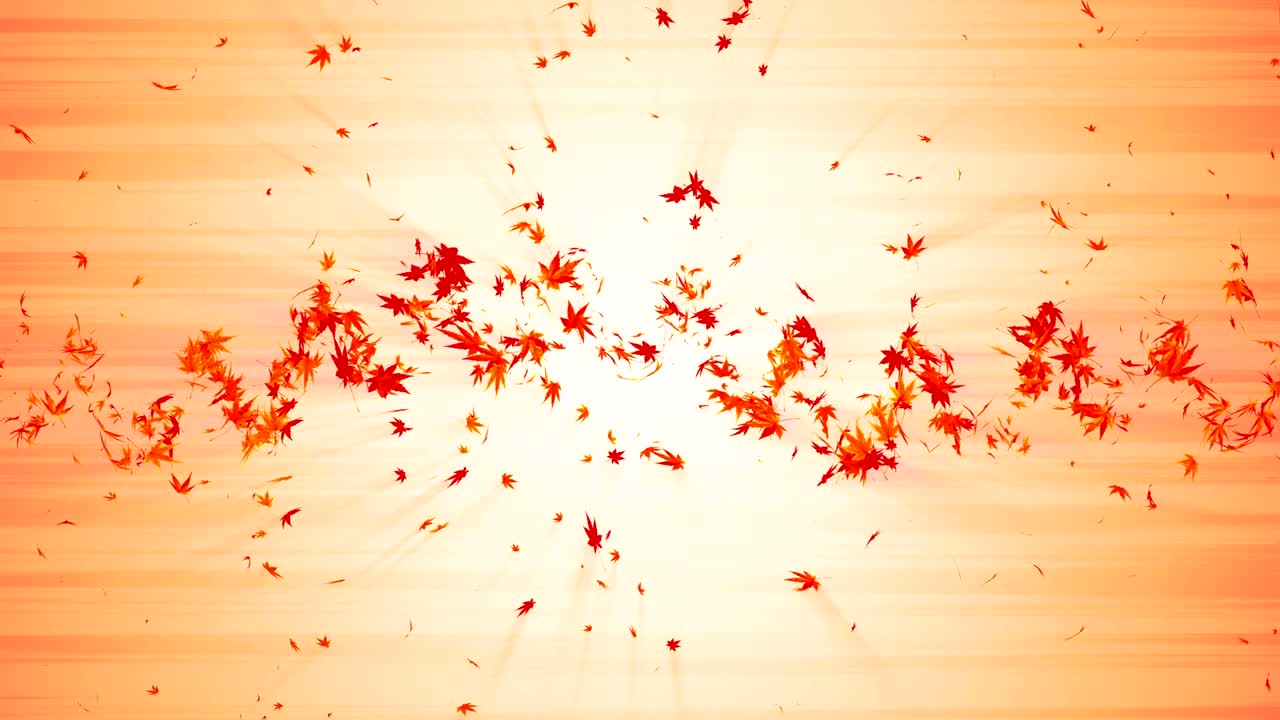 다채로운 메이플과 잎에서 나온 소용돌이, 가을 잎의 나선형 반이는 입자, 춤추는 잎, 다채로운 자연 터널 루프 애니메이션.