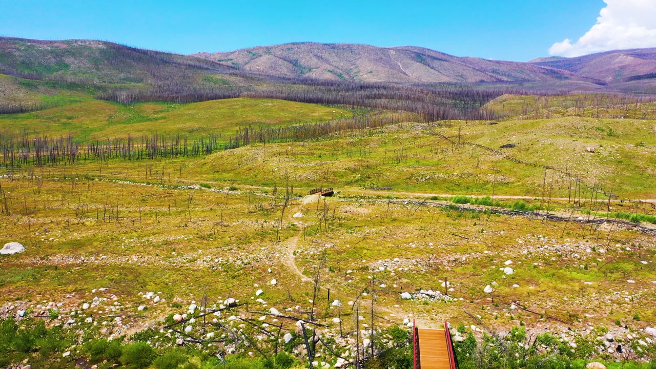Expansive aerial shot of a recovering burn scar with open meadow, winding trails, rocky slopes, scattered dead timber, and layered mountains under bright summer sun.