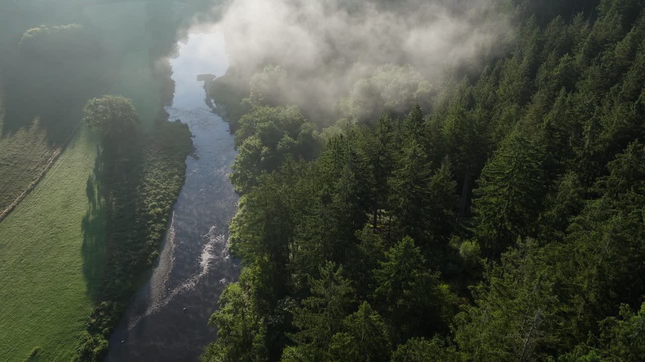 Aerial view of a river flowing through a forest with morning fog