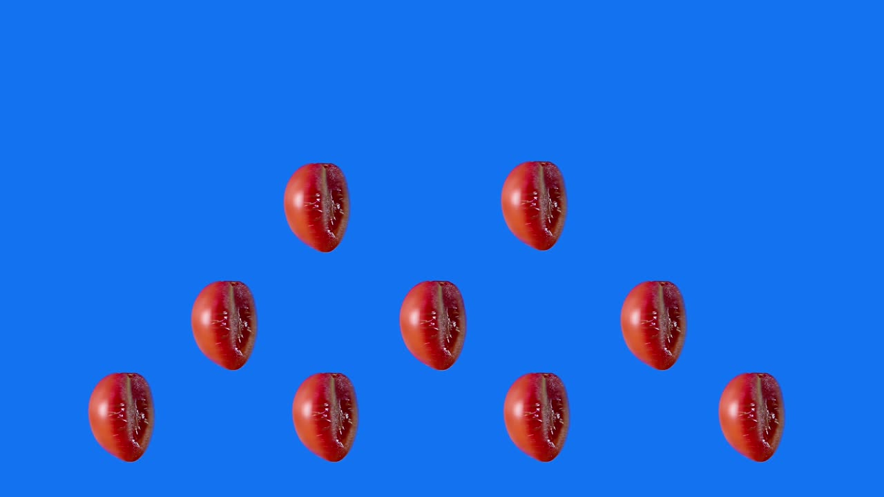 반으로 잘라진 체리 토마토를 루프 모션으로