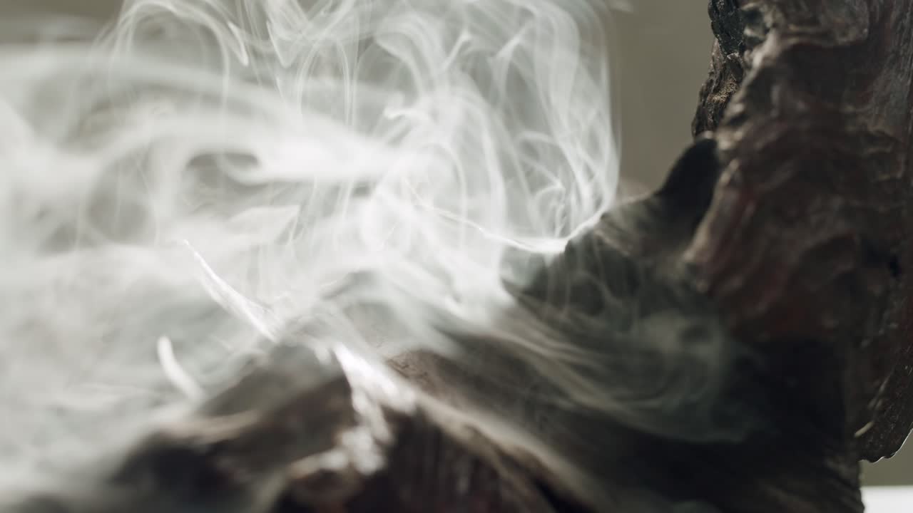 Person holding Palo Santo wood stick in hand, aromatic Palo Santo burning on black background, smoke spreading around, slow motion video clip, high quality 4k close up footage. High quality 4k footage