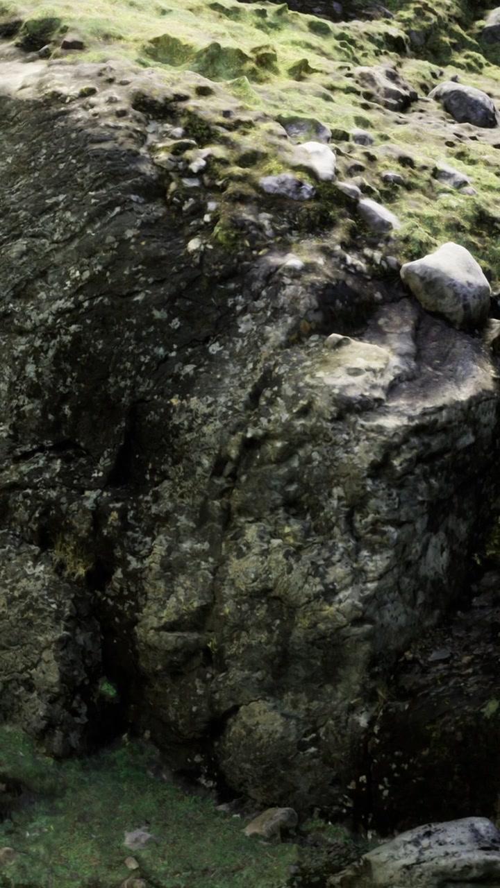 Superficie rocciosa naturale che mostra muschio ed erba in una zona costiera di giorno