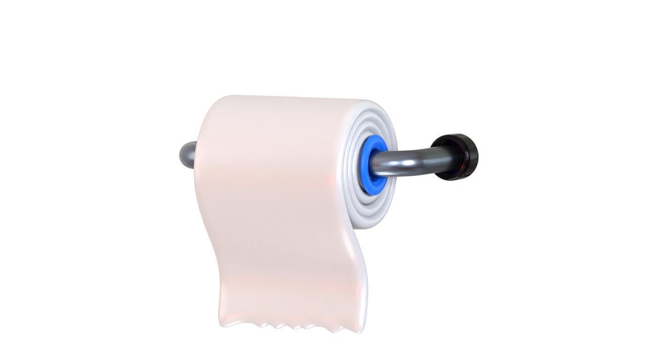 Toilet Paper Roll Hanging on Wall Holder
