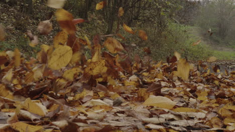 White-car-driving-in-slow-motion,-flying-autumn-leaves,-vivid-colors,-low-angle-closeup-view