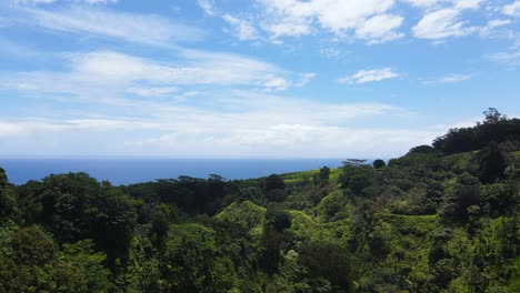 Tropical-Island-Landscape-on-Maui,-Hawaii---Aerial