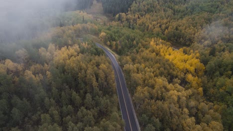 Drohnenansicht-Einer-Gepflasterten-Straße-Durch-Den-Wald-Im-American-Fork-Canyon