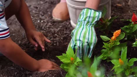 Siblings-gardening-and-planting-flowers-in-garden