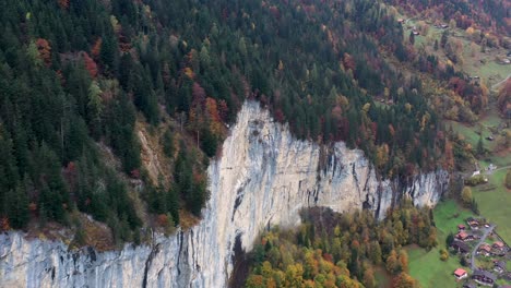 forest in fall season with mountains on the background