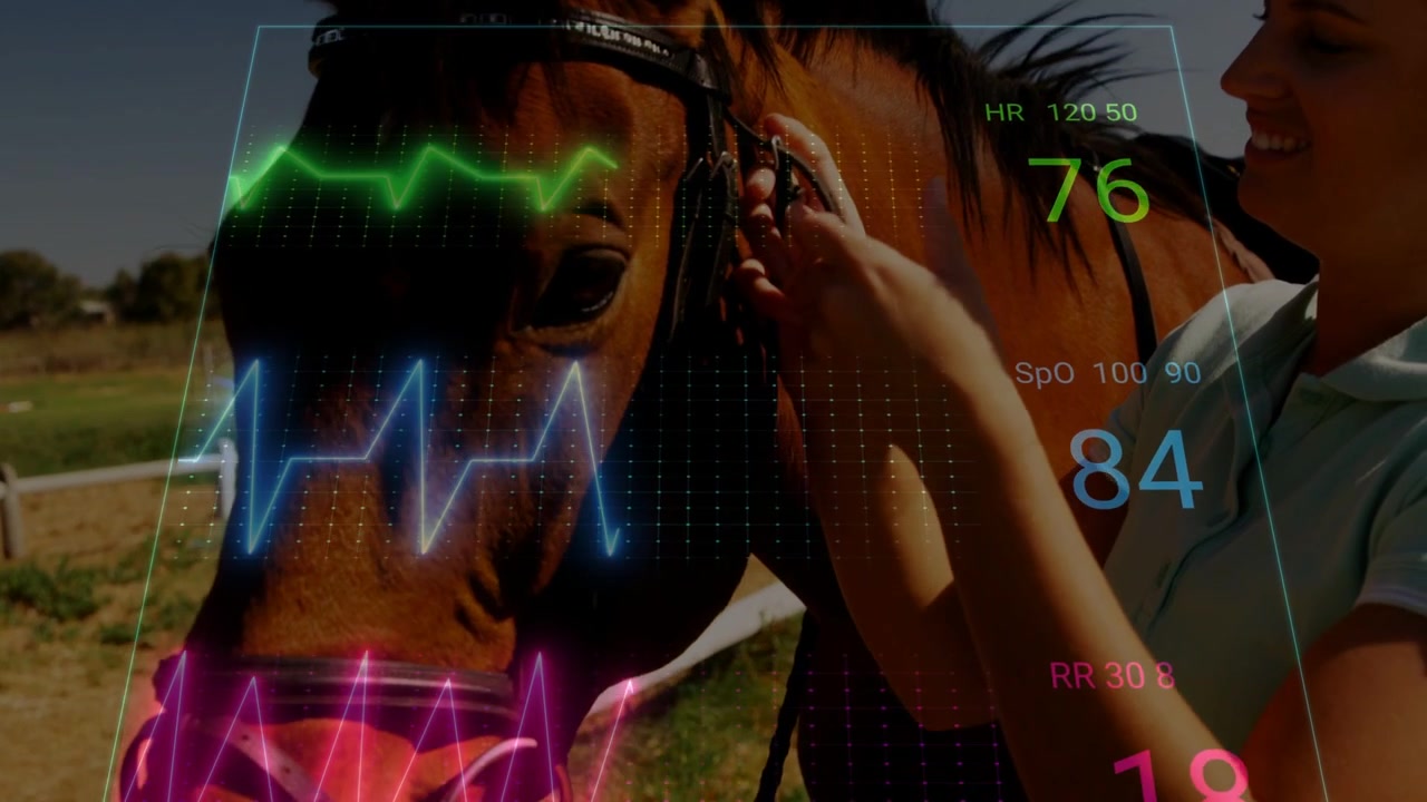 Donna che allunga la mano per le redini, che aggiusta la briglia, monitorando i parametri vitali equini tramite un overlay ECG che si stabilizza.