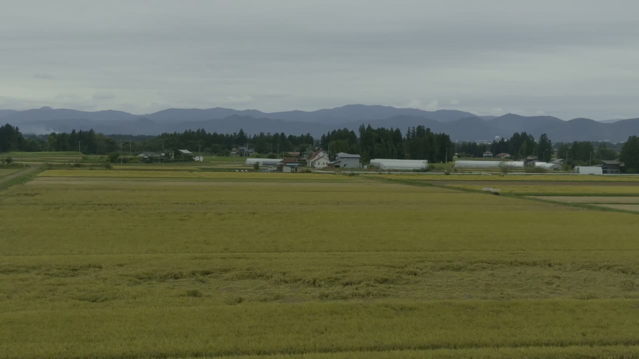 Rural Japan by Shinkansen: Fields, Villages, Mountains Experience the charm of Japan’s rural scenery on the Shinkansen, with lush mountains, fields, and villages beneath overcast skies