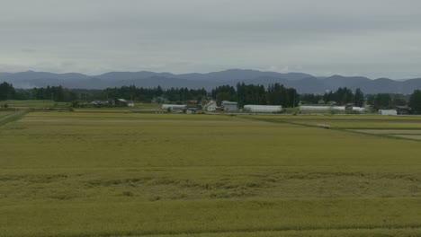 rural japan by shinkansen: fields, villages, mountains experience the charm of japan’s rural scenery on the shinkansen, with lush mountains, fields, and villages beneath overcast skies