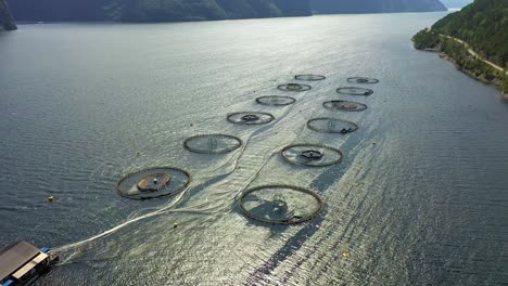 aerial footage farm salmon fishing in norway