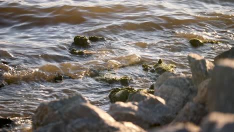 sea wavelets gently splashing on pebbles and stones on rocky shore