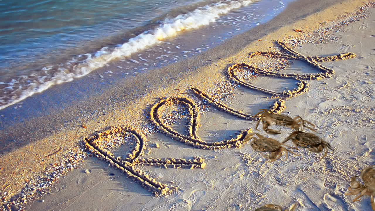 Crab and an inscription on sand, the beach. Inscription relax on sand