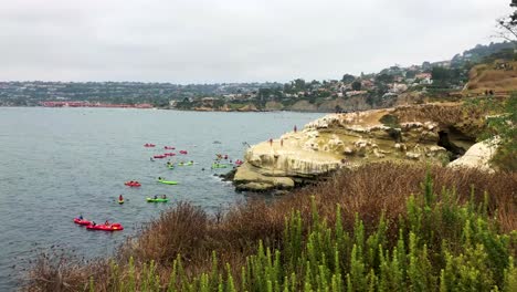 people explore a cove in la, jolla, ca