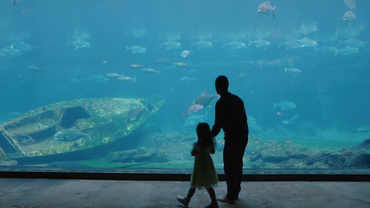 아쿠아리움에서 딸과 함께 아빠가 아름다운 물고기를 보고  ⁇ 크에서 헤엄치는 작은 소녀는 호기심으로 해양 동물을 관찰하고 오케아리움에서 아빠와 함께 해양 생물에 대해 재미있게 배우고 있습니다.