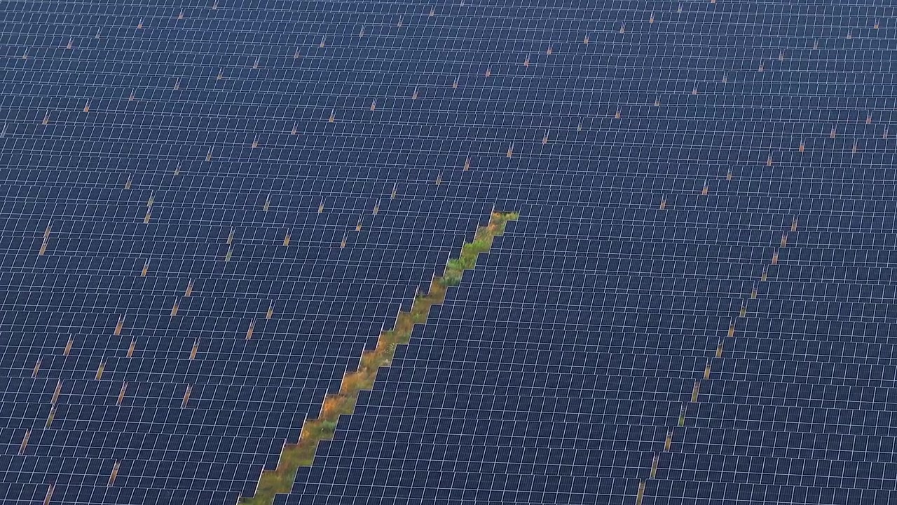 Luftperspektiv af et stort solcelleanlæg. Rækker af blå fotovoltaiske paneler danner et gittermønster, der genererer ren, bæredygtig energi.