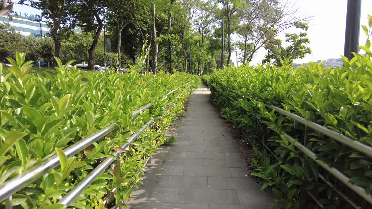 초록색 울타리가 있는 공원 길