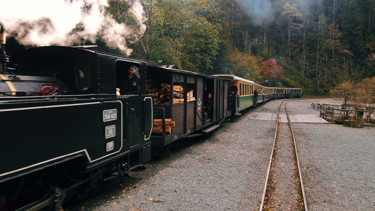 Scenic Steam Train Ride Through the Forest