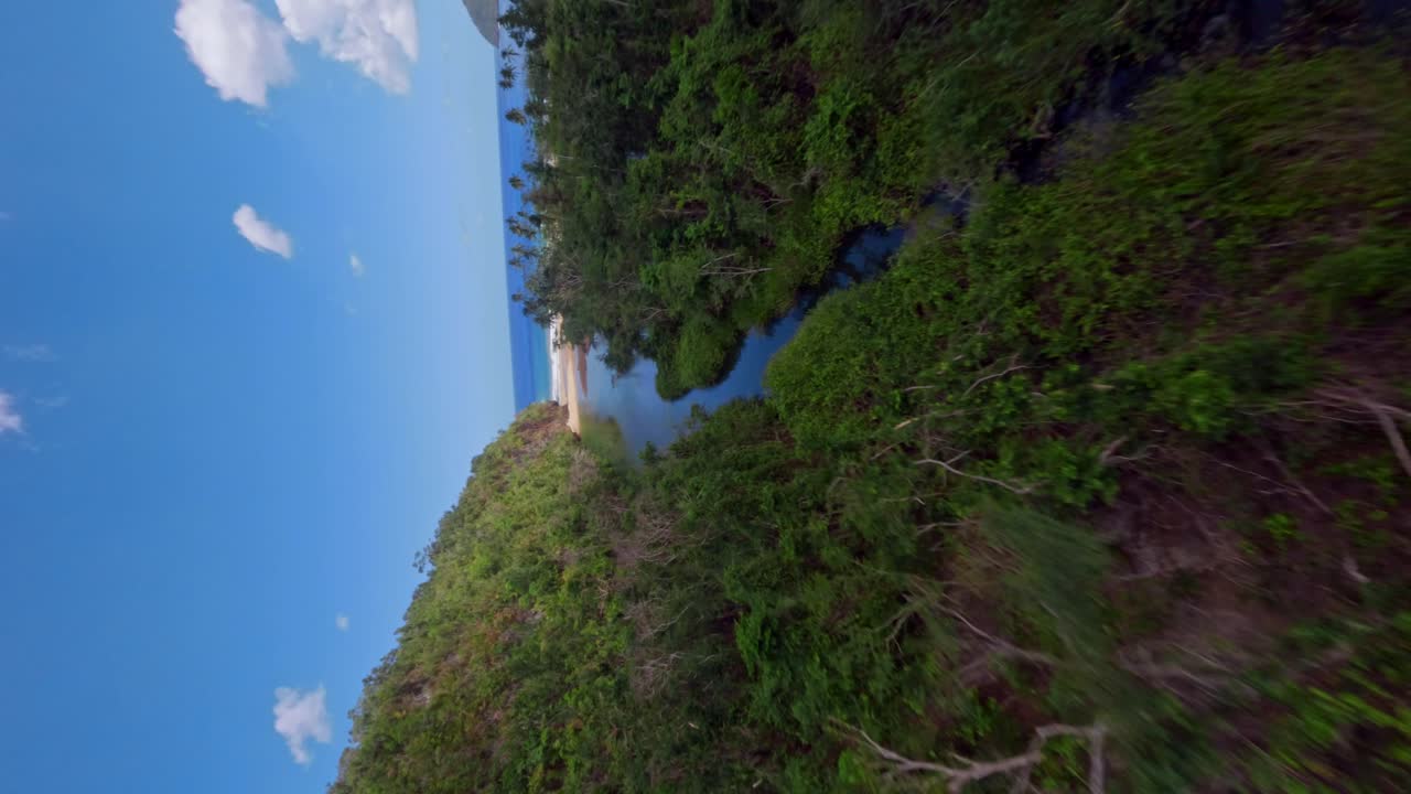 disparo vertical de rio san juan a la playa con el denso bosque de manglares en samana, república dominicana