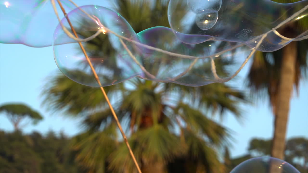 Colorful soap bubbles floating against the blue evening sky during a street performance