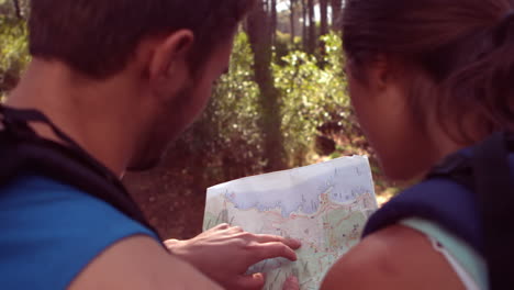 una pareja caminando por un bosque.