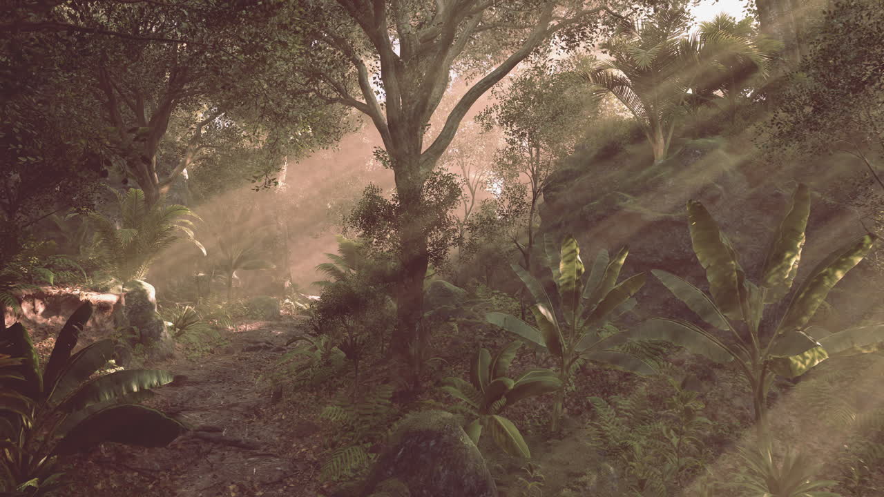 la luz del sol filtrándose a través de los árboles en un exuberante bosque tropical durante la mañana